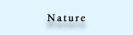 9lib_ico_Nature.jpg